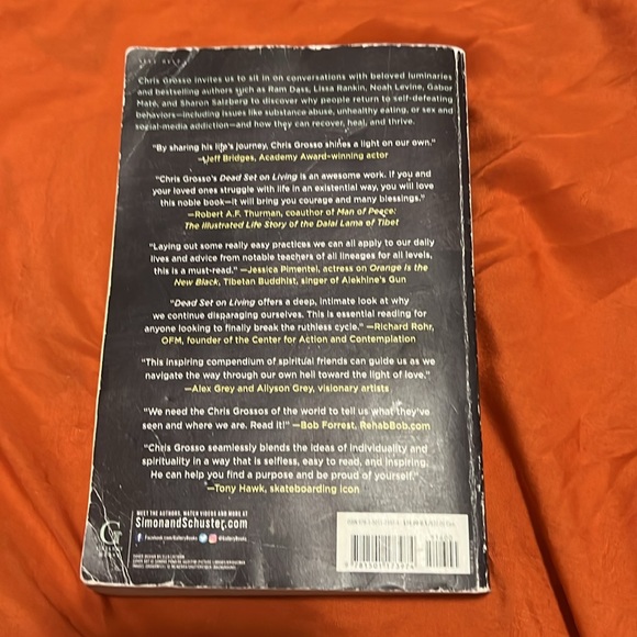 Dead set on living - Picture 2 of 2